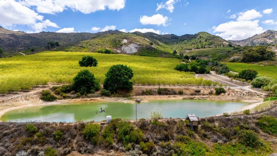 5 Bedroom Property for Sale in Paarl Rural Western Cape